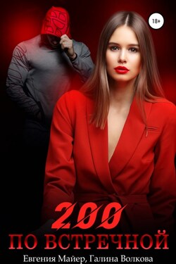 200 по встречной - Евгения Майер