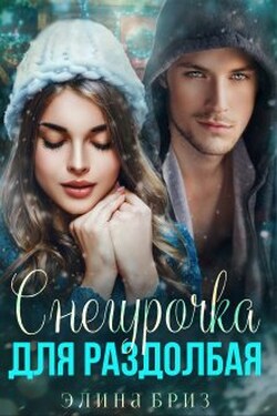 Снегурочка для раздолбая - Элина Бриз