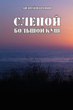 Слепой. Большой куш - Андрей Воронин