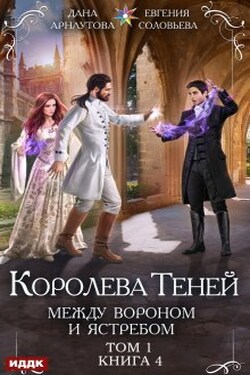 Королева Теней. Книга 4. Между Вороном и Ястребом. Том 1 - ИДДК