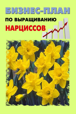 Бизнес-план по выращиванию нарциссов - А. С. Бруйло