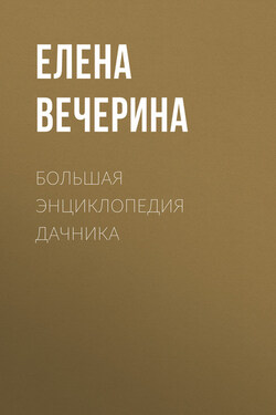 Большая энциклопедия дачника - Елена Вечерина