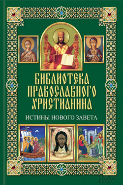 Истины Нового Завета - Павел Евгеньевич Михалицын