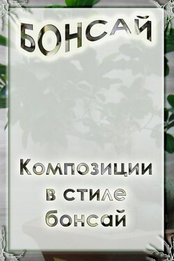 Композиции в стиле бонсай - Илья Мельников