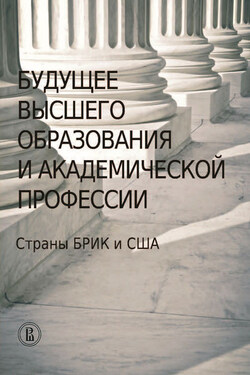 Будущее высшего образования и академической профессии. Страны БРИК и США - Сборник статей
