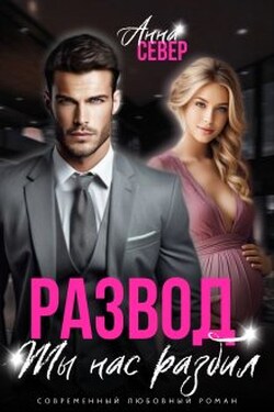 Развод. Ты нас разбил - Анна Север