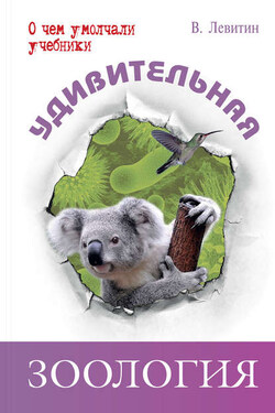 Удивительная зоология - Вадим Левитин