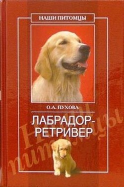 Лабрадор ретривер - Олеся Пухова